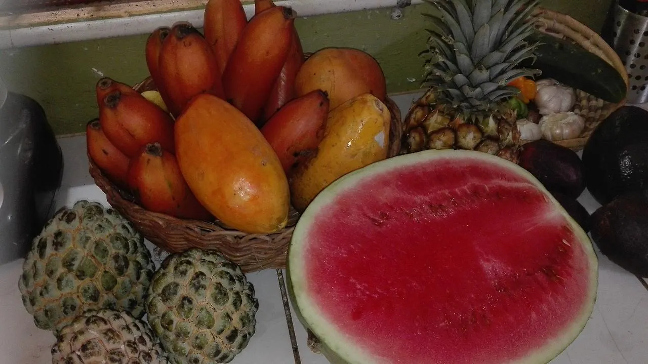 Can-Jam Retreat Hotel Negril